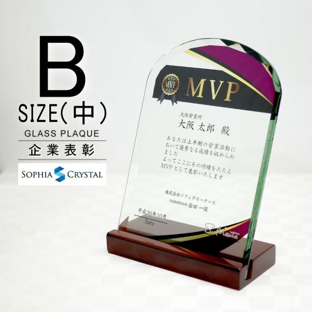 トロフィー ガラス 盾 DSP-1B(中) 名入れ 記念品 表彰状 表彰 盾 表彰楯 卒業 感謝 退職記念 周年記念 創立記念 ゴルフコンペ ホールインワン スポーツ大会 イベント 優勝 トロフィ とろふぃ プレゼント ギフト