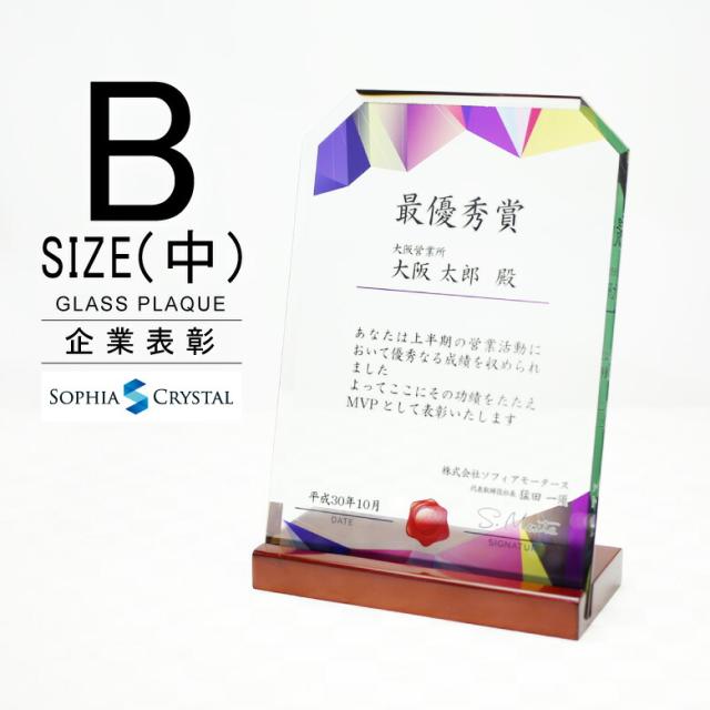 トロフィー ガラス 盾 DSP-3B(中) 名入れ 記念品 表彰状 表彰 盾 表彰楯 卒業 感謝 退職記念 周年記念 創立記念 ゴルフコンペ ホールインワン スポーツ大会 イベント 優勝 トロフィ とろふぃ プレゼント ギフト