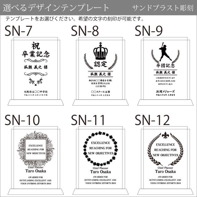 トロフィー ガラス 盾 PS-7B(中) 名入れ 記念品 表彰状 表彰 盾 表彰楯 卒業 感謝 退職記念 周年記念 創立記念 ゴルフコンペ ホールインワン スポーツ大会 各種イベント 優勝 トロフィ とろふぃ クリスタル プレゼント ギフト._12