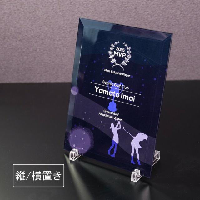 eスポーツ ガラス 盾 PS-U1-esp2 名入れ 記念品 表彰状 表彰楯 ゲーム ゴルフ 野球 サッカー テニス バスケットボール 大会 卒業 感謝 周年記念 創立記念 コンペ ホールインワン イベント 優勝 トロフィ プレゼント ギフトの通販は 10,560円