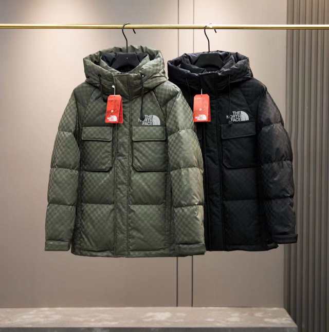 The North Face ザ・ノース・フェイススタンドカラーフード付きダウン 