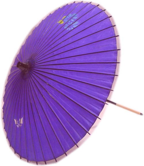 紙傘　紫地　透かし　花　蝶（2本継）【在庫限り】日本製　持ち運びに便利な継ぎ柄！舞台・ステージ　舞傘・撮影・小道具　舞踊傘・舞踊小道具　国産　和傘の通販は