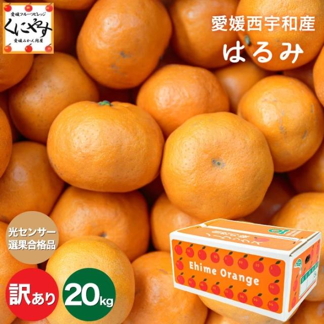 「訳あり愛媛はるみ5×4」【送料無料】【産地直送】愛媛産はるみ 訳あり20kg (5kg×4箱)デコくん (通称デコポン) の兄弟分/みかん/ハルミオレンジの通販は