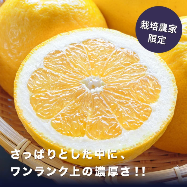 ★限定農家さん 大岩さん のこだわり最上級品★【送料無料】【産地直送】愛媛佐田岬産 ナダオレンジ 訳あり 20kg (5kg×4箱) 「訳あり最上ナダオレ5×4」 河内晩柑 和製グレープフルーツ 美生柑 愛南ゴールド_1