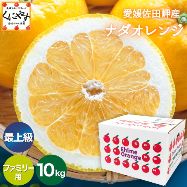 ★限定農家さん 大岩さん のこだわり最上級品★【送料無料】【ギフト】【産地直送】愛媛佐田産 樹齢30年以上 ナダオレンジ ファミリー用 10kg 「F最上ナダオレ10」 河内晩柑 和製グレープフルーツ 美生柑