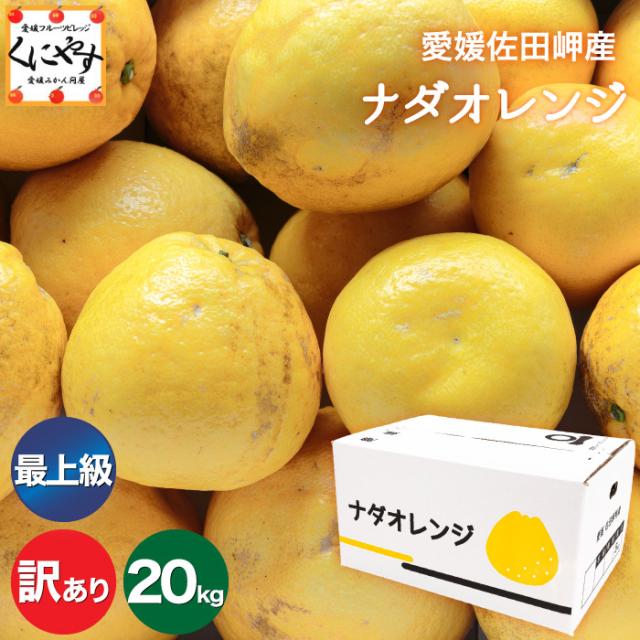 ★限定農家さん 大岩さん のこだわり最上級品★【送料無料】【産地直送】愛媛佐田岬産 ナダオレンジ 訳あり 20kg (5kg×4箱) 「訳あり最上ナダオレ5×4」 河内晩柑 和製グレープフルーツ 美生柑 愛南ゴールド