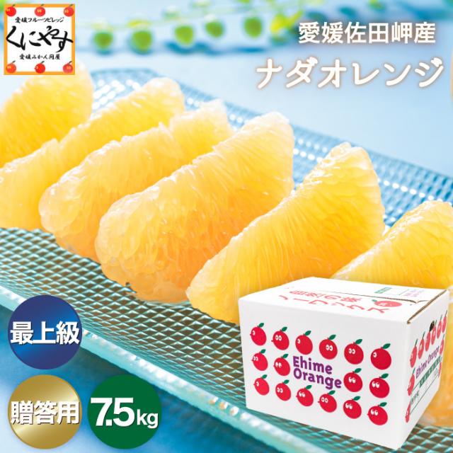 限定農家さん 大岩さん のこだわり最上級品★【送料無料】【ギフト】【産地直送】愛媛佐田産 樹齢30年以上 ナダオレンジ 贈答用 7.5kg 「贈答最上ナダオレ7.5」河内晩柑 和製グレープフルーツ 美生柑 愛南ゴールド