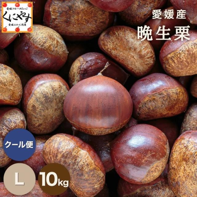 ご予約開始！「愛媛晩生栗L10」☆シーズン最後の栗☆【厳選品