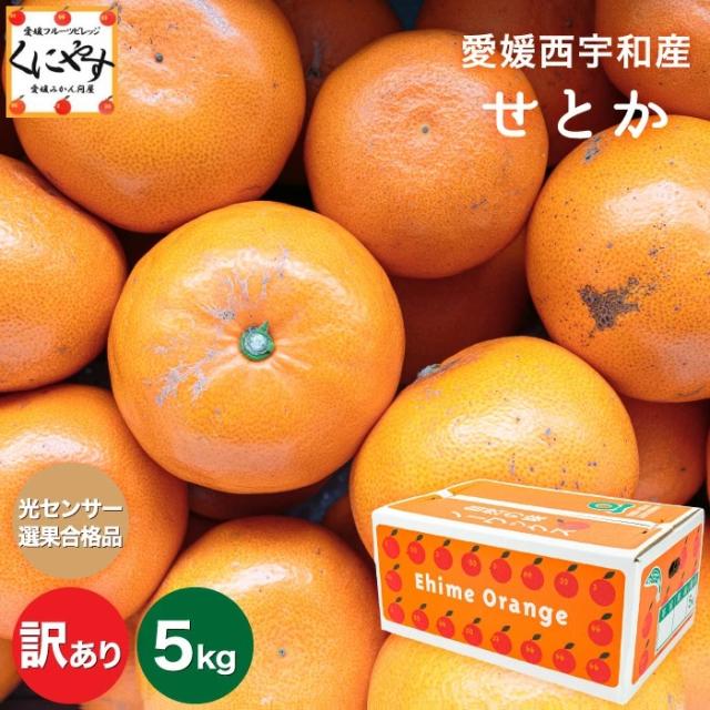 「訳ありせとか5」【送料無料】【産地直送】愛媛西宇和産せとか 訳あり 5キロ 究極の柑橘！みかんの大トロ 創業84年 愛媛みかん の老舗の通販は 6,100円