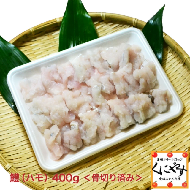 【送料無料】【ギフト】【産地直送】【天然魚】「鱧(ハモ)5-6人前400g(骨切り済み)」【鮮度抜群CAS冷凍品】宇和海/高級魚/下処理済 ...