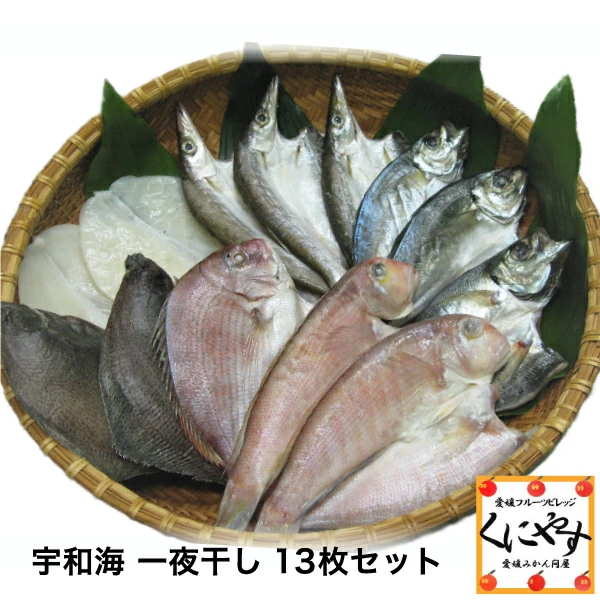 【送料無料】【ギフト】【産地直送】【天然魚】宇和海朝獲れ鮮魚の「一夜干し13枚セット」【鮮度抜群CAS冷凍品】（真鯛1枚、メイタカレイ2枚、アマダイ2枚、カマス3枚、釣アジ3枚、スミイカ2枚）の通販は