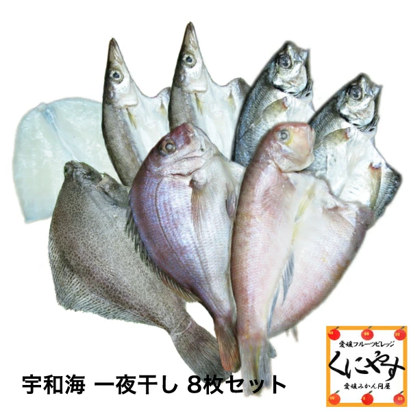 マーケット－通販サイト　送料無料】【ギフト】【産地直送】【天然魚】宇和海朝獲れ鮮魚の「一夜干し8枚セット」【鮮度抜群CAS冷凍品】（真鯛1枚、メイタカレイ1の通販はau　マーケット　au　PAY　愛媛フルーツビレッジくにやす　PAY