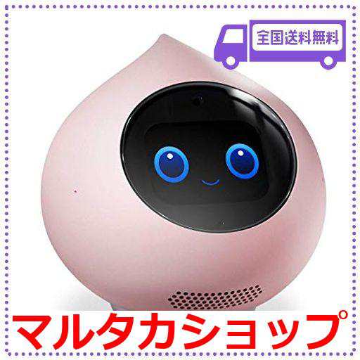 romi ロミィ 会話aiロボット 家庭用 romi-p02 【2021年度グッド