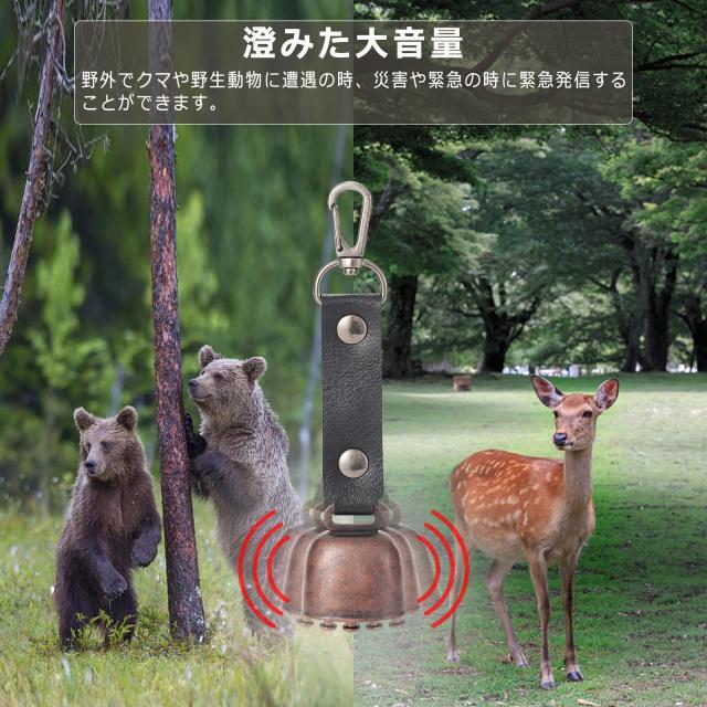 すず ソックス レディース ダンスウィズドラゴン ダンス ウィズ ドラゴン