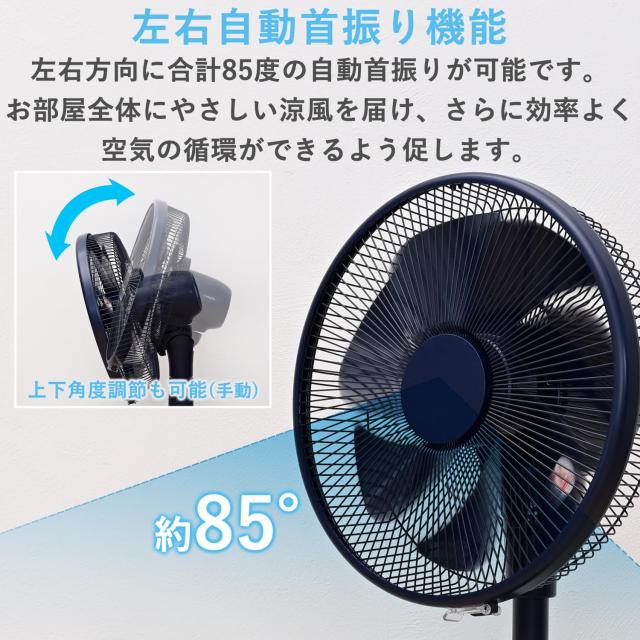 限定 山善 扇風機 リビング 日本電産製 DCモーター搭載 静音 リモコン付き 左右自動首振り 風量切替12段階 入切タイマー付 ネイビー YL_2