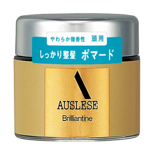 アウスレーゼ ブリランチンN 80gの通販はau PAY マーケット