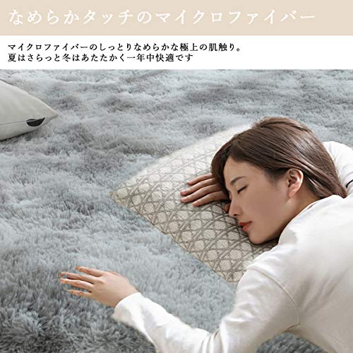 Gsogcax ラグ カーペット 絨毯 オールシーズン 滑り止め付き 160x200