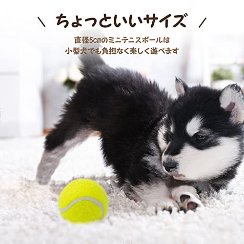 pet prime 犬用おもちゃ ミニテニスボール 6個入り 直径5cm ボール