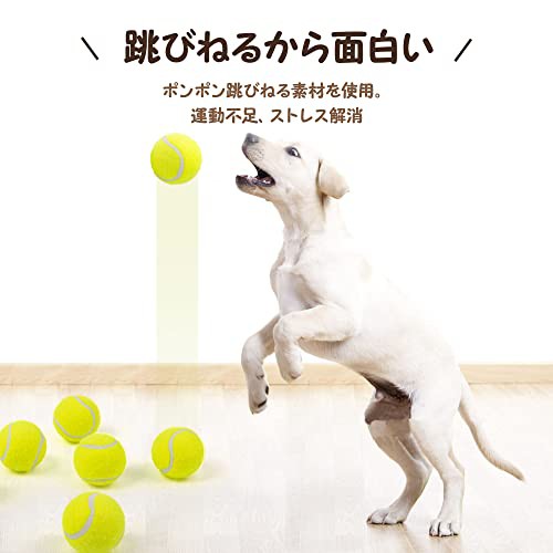 pet prime 犬用おもちゃ ミニテニスボール 6個入り 直径5cm