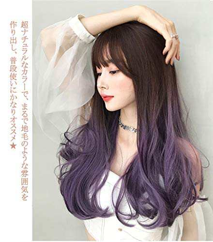 ウィッグ レディース ロング ストレート グラデーション 紫 かつら フルウィッグ wig 女装 自然 耐熱 ネット/櫛付き ブラウン＆パープル｜au  PAY マーケット