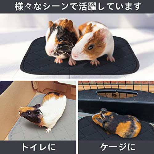 うさぎ ペットシート 匂い 販売