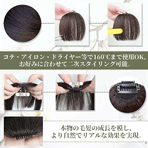 前髪ウィッグ 部分ウィッグ コスプレ用 総手植え レディース
