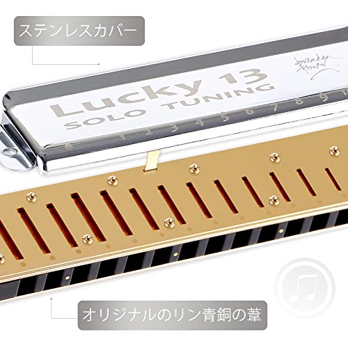 East top ハーモニカ ブルースハーモニカ 13ホール G? ジャズ専門家 大人用 子供用 勉強 練習用 真鍮カバー キャンバスケース Lの通販は