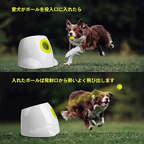 自動ボールランチャー 犬用おもちゃ 楽天市場】【1年保証付】 Kurflo
