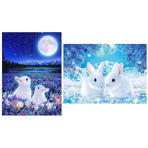 パッケージ内容二部40*30ダイアモンドアートキャンバス、ビーズ、基本ツールを含む・初心者に優しいわかりやすく、操作も簡単で、断片化時間を利用しても完成できます。・優れた制作技術元画像は組版加工を経て