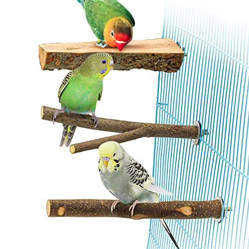INOOMP オウムのおもちゃ オウムの木 鳥かご 鳥のオウム