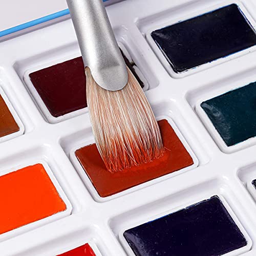 Paul Rubens 絵の具 透明水彩絵具 24色セット 水彩絵の具 固形水彩 大