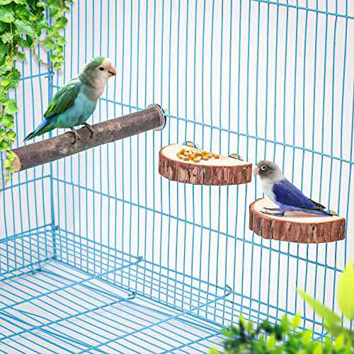 4点セット入り インコ 止まり木 鳥用品 パーチ 爪を研ぎ 爪を磨く 鳥