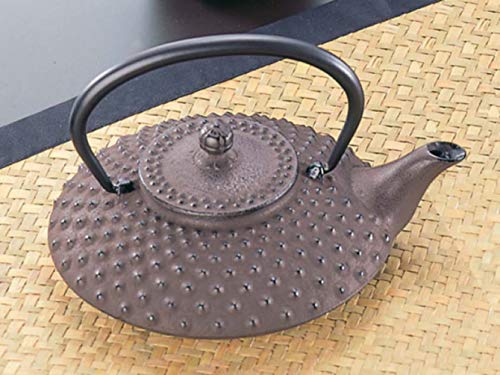 鉄瓶 9fb2e2fca06c16281dafa00f33e93a