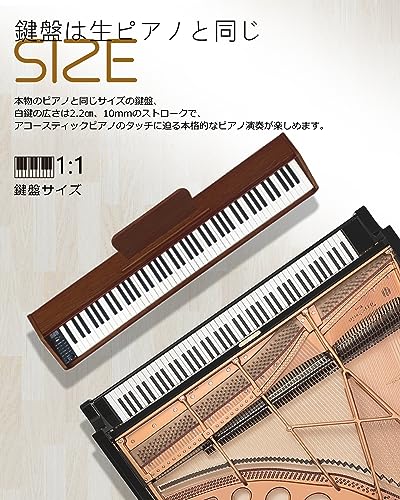 木製陰電子洋琴 新ひな型Longeye 陰電子洋琴 88鍵盤楽器 MOLD2 日本語書きあらわす 二つ受話器一斉に当てはめる midi端子相応う 10粍麦わら