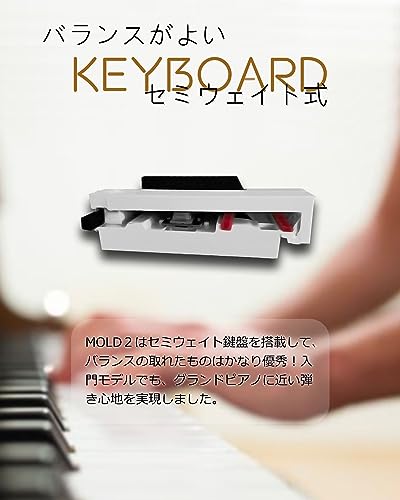 木製陰電子洋琴 新ひな型Longeye 陰電子洋琴 88鍵盤楽器 MOLD2 日本語書きあらわす 二つ受話器一斉に当てはめる midi端子相応う 10粍麦わら