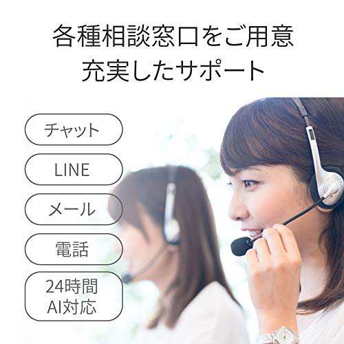 バッファロー メッシュ WiFi 無線LAN AirStation connect 親機+専用