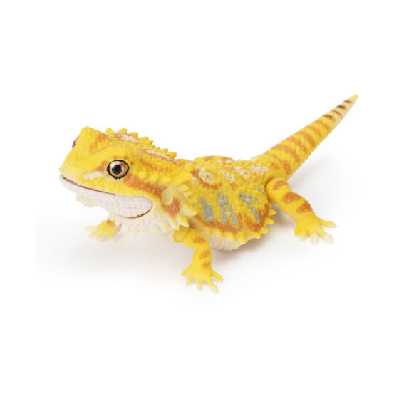 フトアゴヒゲトカゲ（スーパーイエロー）】いきもの大図鑑レプティ