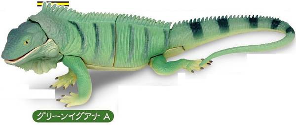 グリーンイグアナ A】あそべる生物フィギュアシリーズ トカゲ