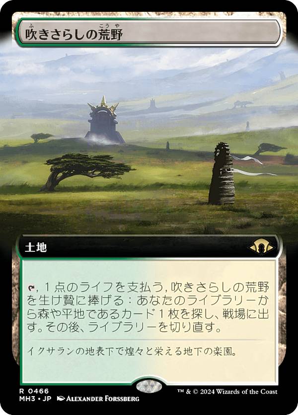 マジック：ザ・ギャザリング 吹きさらしの荒野 日本語版 マジック：ザ