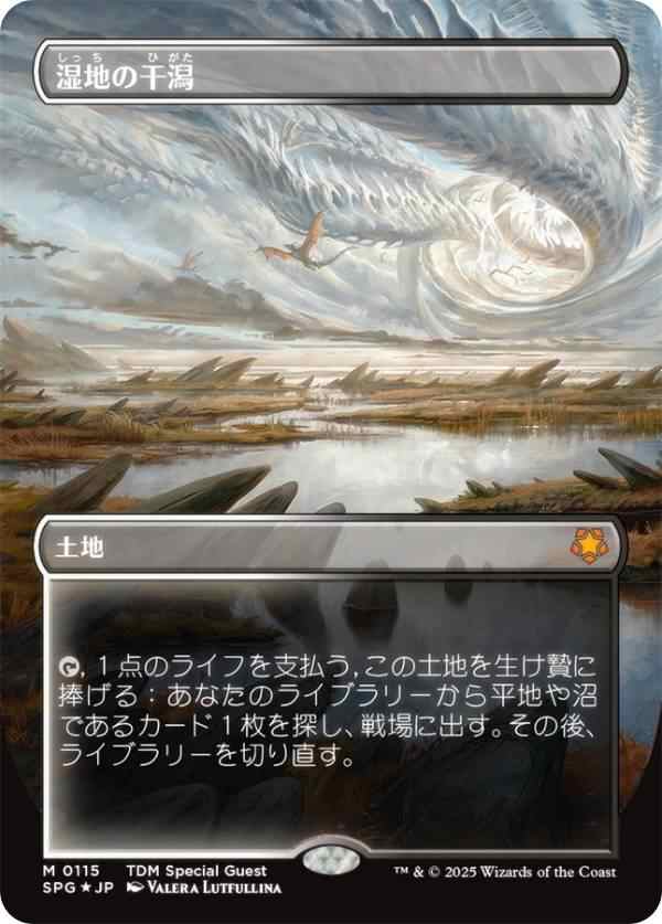 世界有名な ドラゴンスケイル・FOIL/ボーダーレス版】マジックザ マジック：ザ・ギャザリング