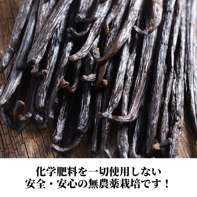 バニラビーンズ 最高級 Aグレード 18-20cm オーガニック 1kg 無