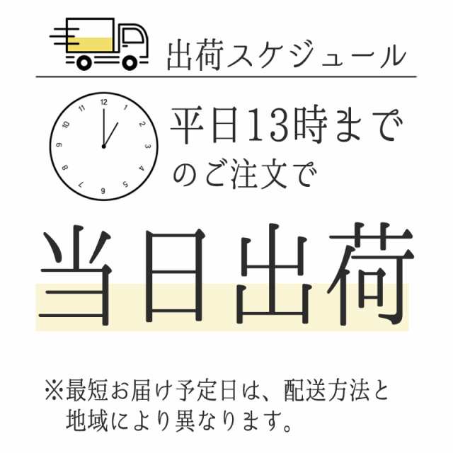 美容液 オブジェ OBGE オールインワン ダブル エッセンス 100ml ☆新