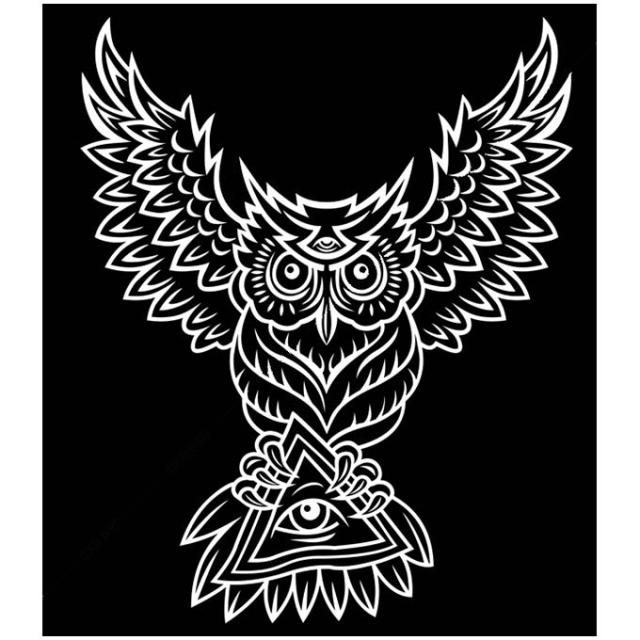 絵画 大型 高級 PLEXIGLAS Illuminati owl SIZE/mm 666*762 希少 SymbolArt シンボル デザイン 壁面装飾 絵 壁絵 ラウンジ VIPルーム