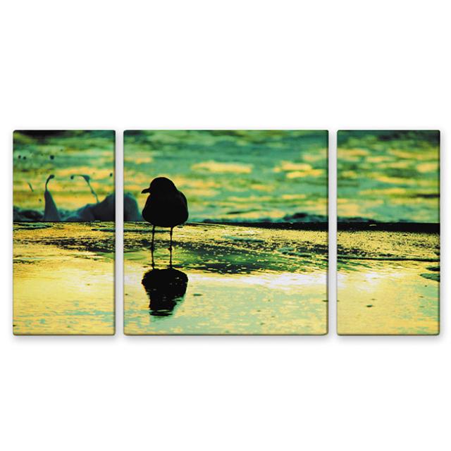 絵画 インテリア USART アートパネル SEAGULL W60cm H30cm D2cm SIZE/M 3枚セット 絵 海鳥 新築 壁絵 飾り 装飾 壁 軽量 軽い