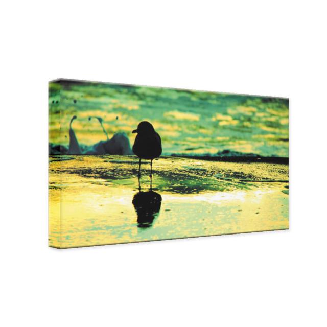 絵画 インテリア USART シーガル カモメ アートパネル 横長 絵 おしゃれ インテリア 壁掛け 新築 壁絵 飾り 装飾 壁 軽量 軽い Print on Canvas キャンバス ファブリックボード 写真 フォトパネル 鳥 波打ち際 海 ウミカモメ 東京アートラボ_1