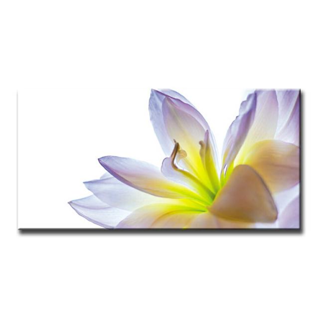 アートパネル LILLY W100cm H50cm D4cm 横長 絵 リリー おしゃれ インテリア 壁掛け 花 新築 壁絵 飾り 装飾 壁 軽量 軽い Canvas キャンバスパネル ファブリックボード 植物 百合 白い花 フラワー ナチュラル 写真 フォトパネル ユリ 東京アートラボ