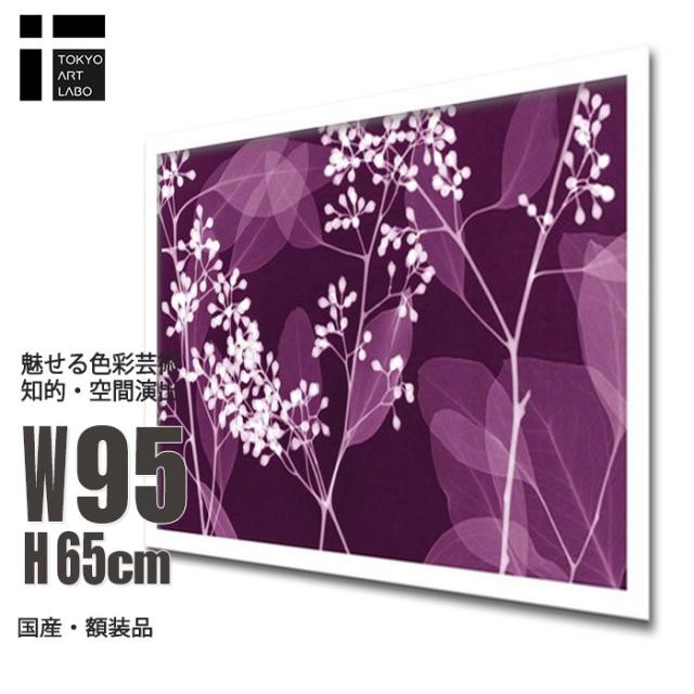 アートポスター 額入り Steven N.Meyers Eucalyptus Branches インテリア おしゃれ アートパネル レントゲン フォト 花 ひも付き 植物 インテリア アート 壁掛けの通販は 25,153円