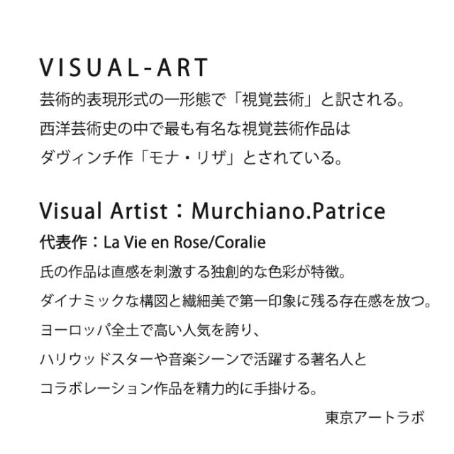 Ambre 絵画 壁掛け 額入り ポスター アートフレーム おしゃれ 額入り 海外 デザイン アーティスト 額付き女性画 魅惑 デザイナーズ ビビッド 額付き 鮮やか カラフル ゴージャス スタイリッシュ 大きな絵 現代的 華やか 耽美 作家 額絵 豪華 注目作家 東京アートラボの通販は