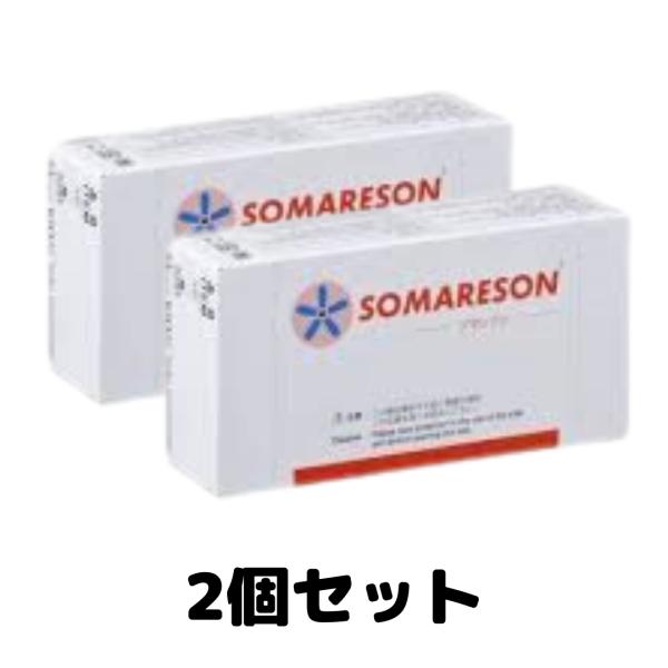 東洋レヂン ソマレゾンＬ 直径7mm 100個入り ／ 使用期限：2027年2月 楽天市場】東洋レヂン ソマレゾン L 100個入り メディカルパッチ