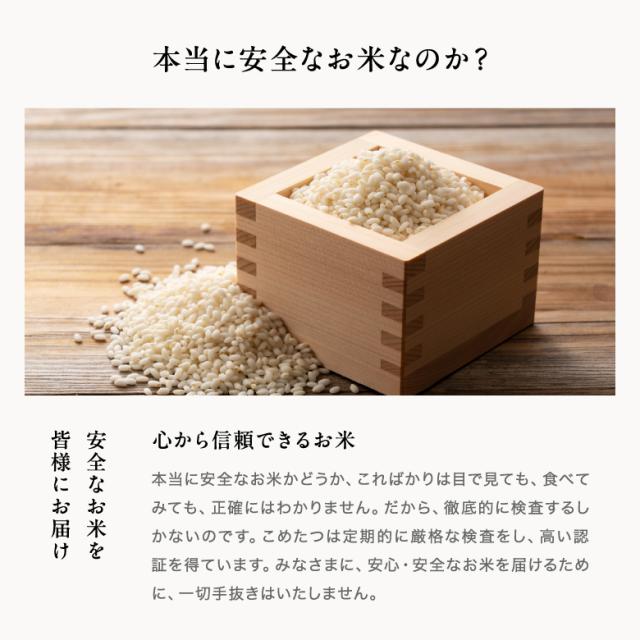 米 もち米 精米20kg ヒヨクモチ 熊本県産 令和7年産 20kg_6